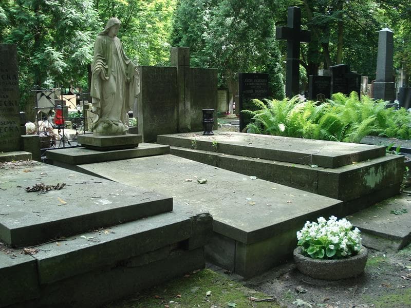 Zdjęcie grobu Marcelina Albertyna Abramowicz (1)