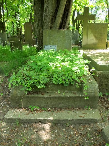 Zdjęcie grobu: Antoni Nurczyński