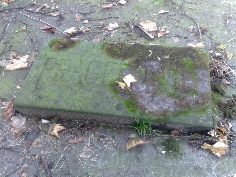 Zdjęcie grobu Maria Klępińska (2)