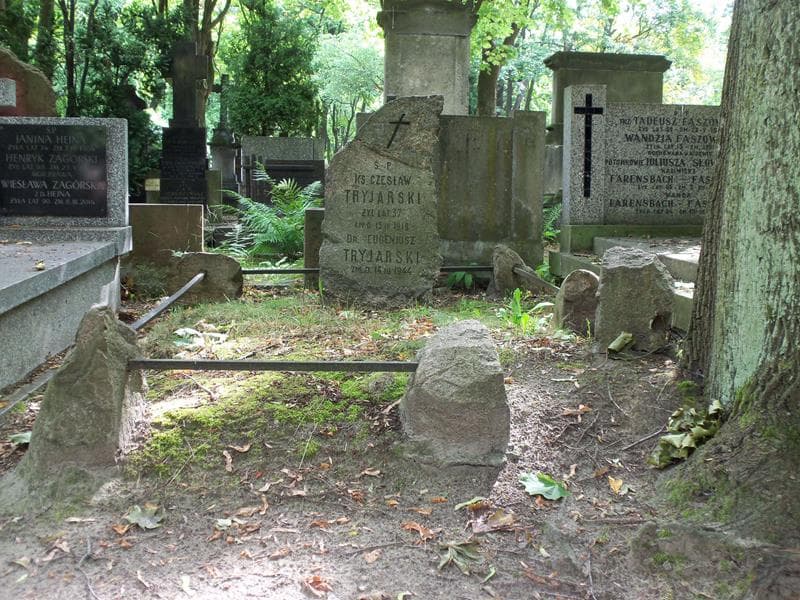 Zdjęcie grobu: Eugeniusz Tryjarski