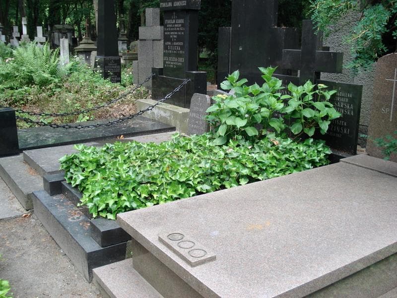 Zdjęcie grobu: Franciszek Judziński
