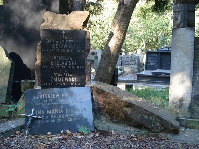 Zdjęcie grobu Stanisław Żmijewski (2)