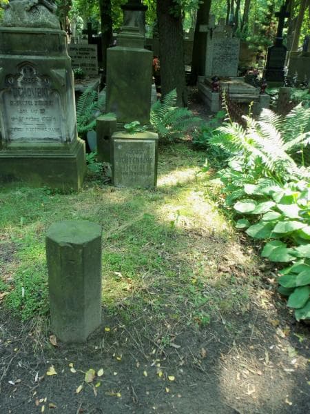 Zdjęcie grobu: August Lichtenberg
