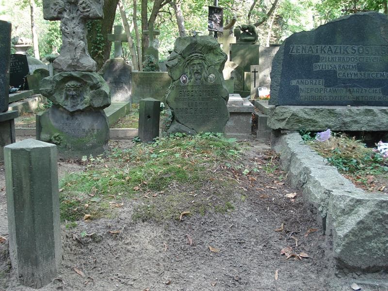 Zdjęcie grobu: Ludwik Ryszkowski