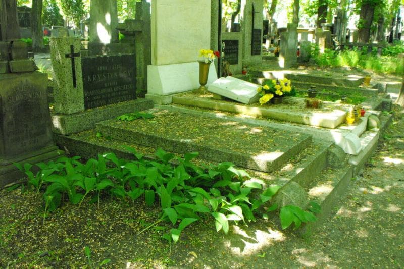 Zdjęcie grobu Józef Krystyński (1)