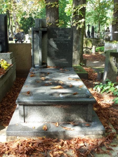 Zdjęcie grobu: Maria Szczepankowska