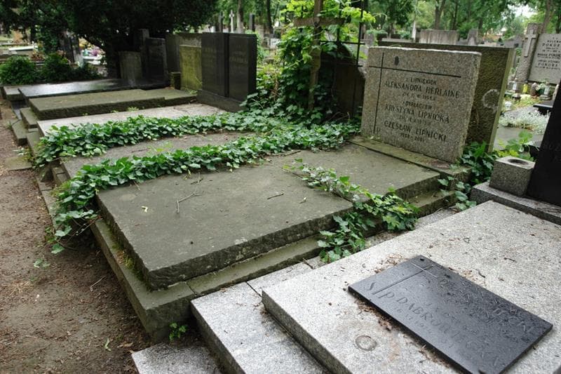 Zdjęcie grobu: Aleksandra Herlaine
