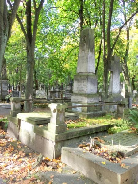 Zdjęcie grobu Cecylja Alwas (1)