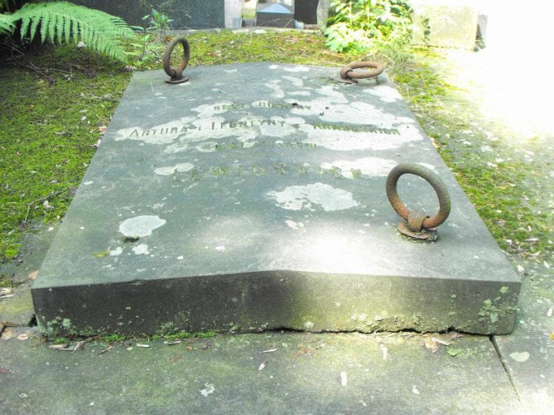 Zdjęcie grobu Lewińscy (2)