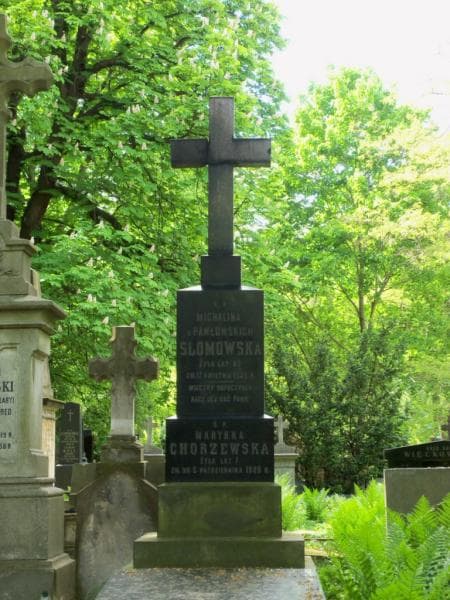 Zdjęcie grobu Aleksander Słomowski (2)