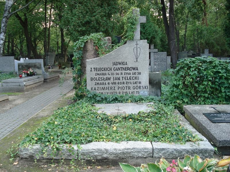 Zdjęcie grobu: Halina Górska
