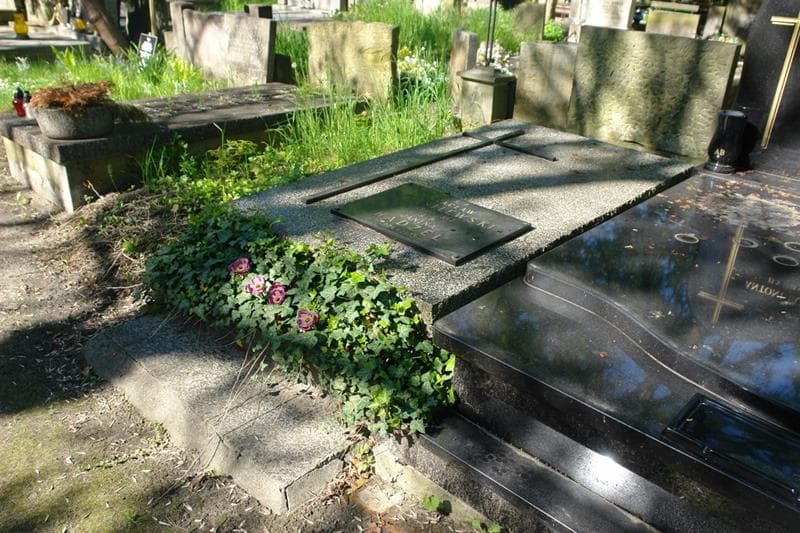 Zdjęcie grobu Janina Hądzel (1)