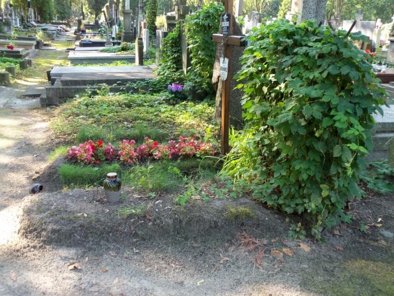 Zdjęcie grobu Julia Butrymowa (1)