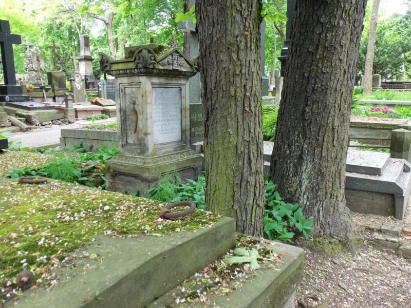 Zdjęcie grobu Franciszka Jadrów (1)