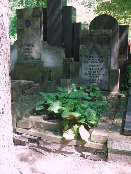 Zdjęcie grobu Teofila Goljan (1)