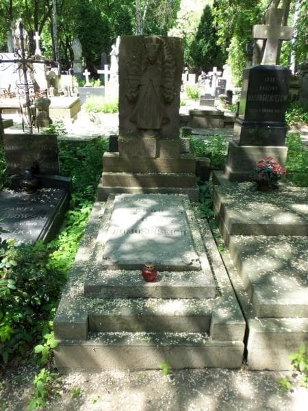 Zdjęcie grobu: Ludwika Myszkiewiczowa