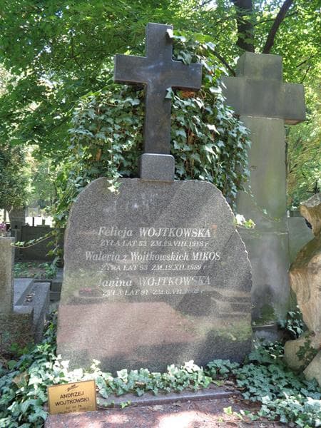 Zdjęcie grobu Janina Wojtkowska (1)