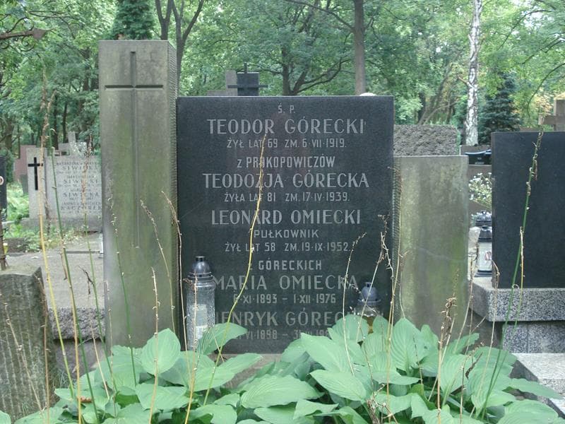 Zdjęcie grobu Teodor Górecki (1)