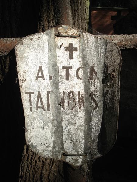 Zdjęcie grobu Pole Grobowe/ Antoni Tarnowski (2)