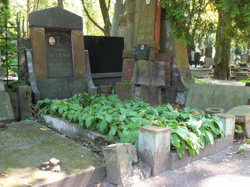 Zdjęcie grobu Teofil Selens (1)