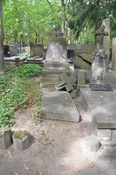 Zdjęcie grobu Ida Vasquez - Pinos (1)
