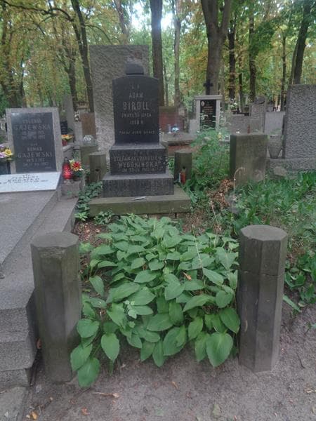 Zdjęcie grobu Stefanja Wysokińska (1)