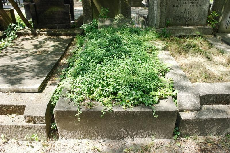 Zdjęcie grobu Ludwik Andrzejewski (1)