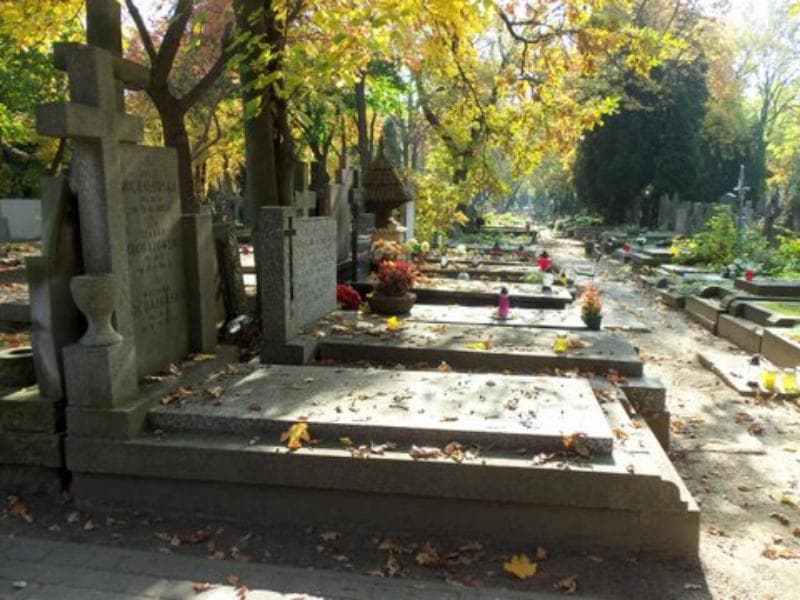Zdjęcie grobu Julia Michałowska (1)