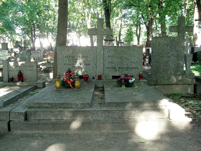 Zdjęcie grobu: Henryk Książkiewicz