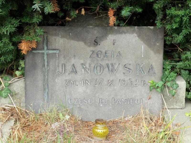 Zdjęcie grobu Zofia Janowska (2)