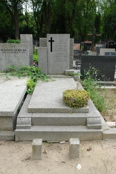Zdjęcie grobu Czesław Załuski (1)