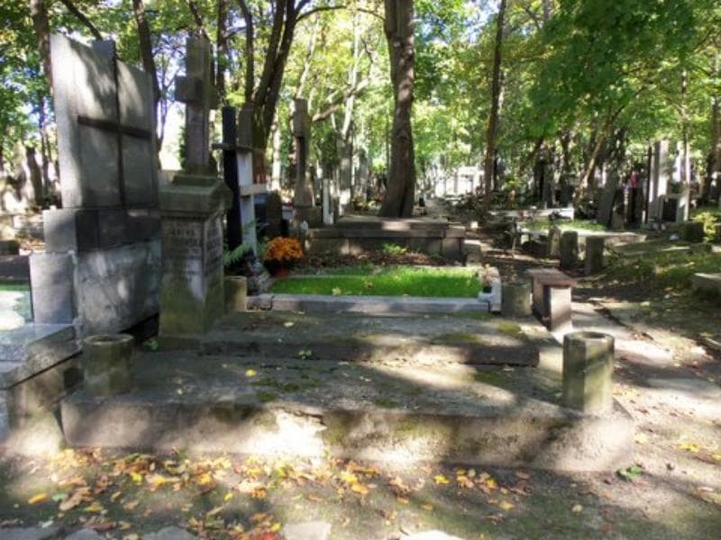 Zdjęcie grobu Ksawery Pawłowski (1)