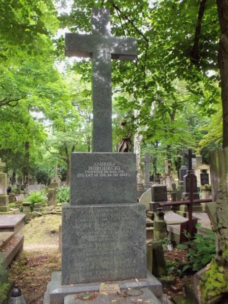Zdjęcie grobu Wacław Taraszkiewicz (2)