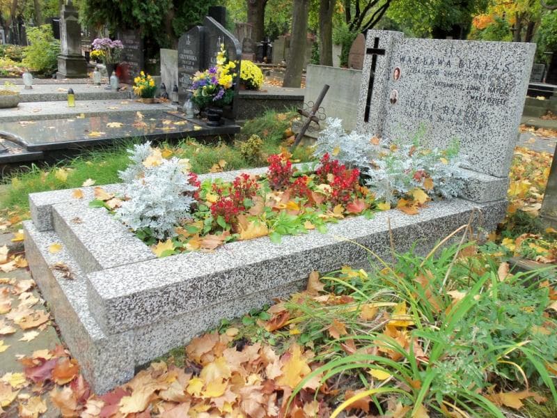 Zdjęcie grobu Józef Białas (1)