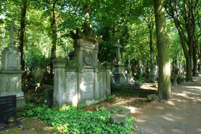 Zdjęcie grobu Teodor Wróblewski (1)