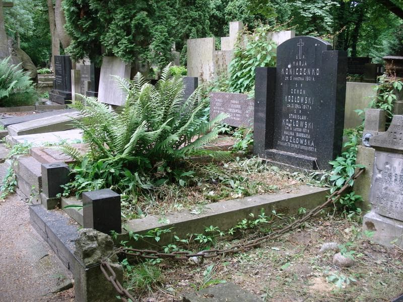 Zdjęcie grobu: Zenon Kozłowski