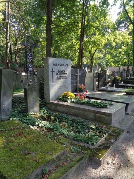 Zdjęcie grobu: Barbara Kędzior