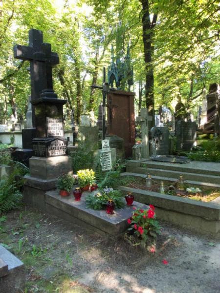 Zdjęcie grobu Stefan Langiewicz (1)