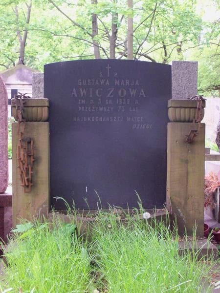 Zdjęcie grobu Gustawa Marja Awiczowa (2)