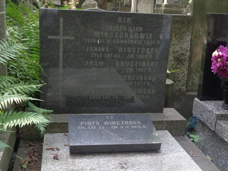 Zdjęcie grobu Maria Janiszewska (2)