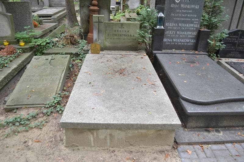 Zdjęcie grobu Regina Ludwikowska (1)
