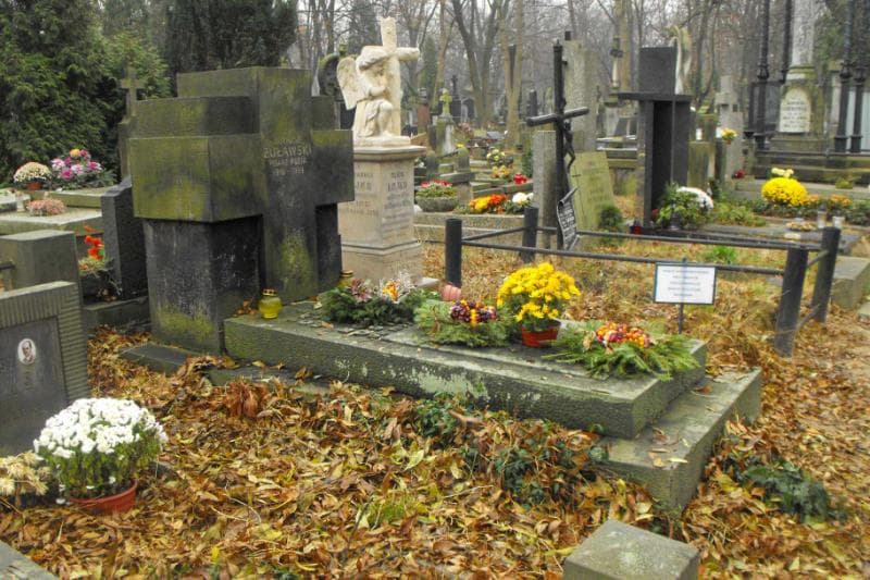 Zdjęcie grobu Zofia Hanicka (1)