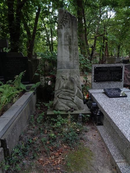 Zdjęcie grobu Jadwiga Szczawińska-Dawidowa (1)