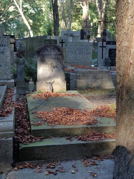 Zdjęcie grobu Włodzimierz Kulpiński (1)