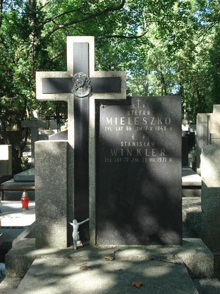 Zdjęcie grobu Stefan Mieleszko (2)