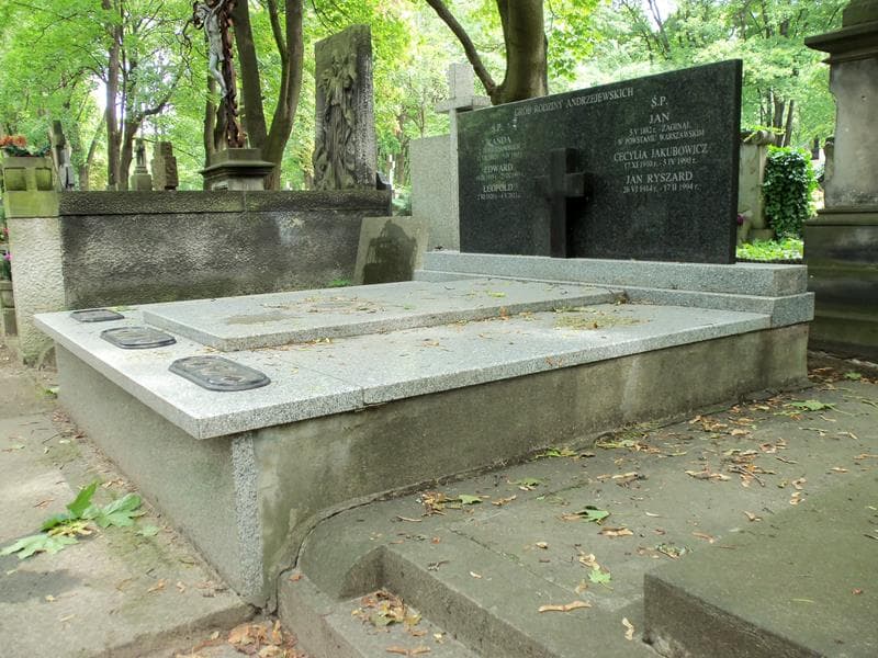 Zdjęcie grobu Jan Andrzejewski (1)