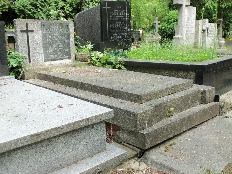 Zdjęcie grobu Emilia Żmijewska (1)