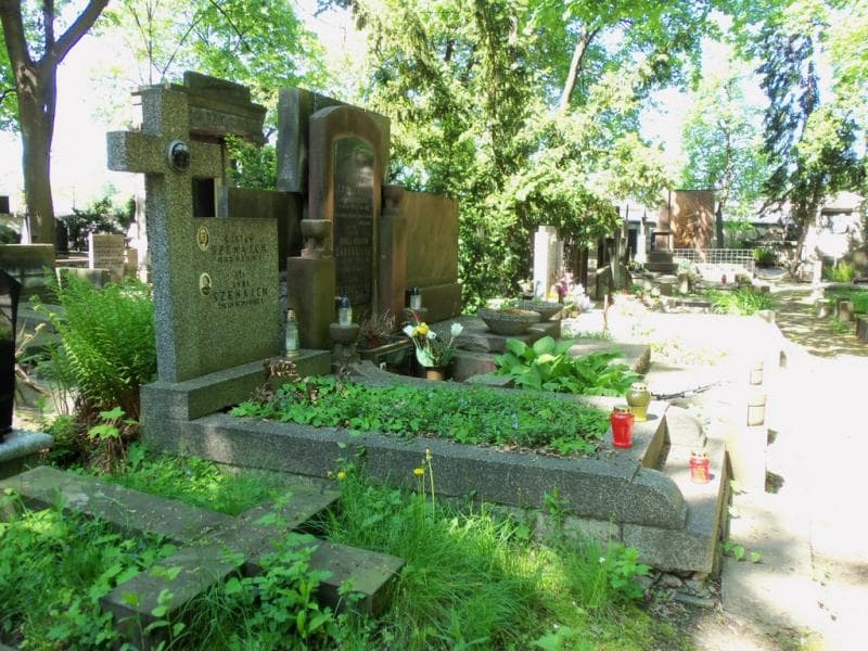 Zdjęcie grobu Gustaw Szenajch (1)