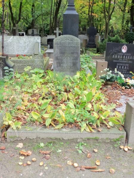 Zdjęcie grobu: Barbara Zofia Walicka