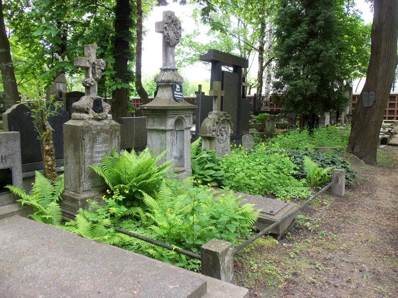 Zdjęcie grobu Kazimierz ... (1)